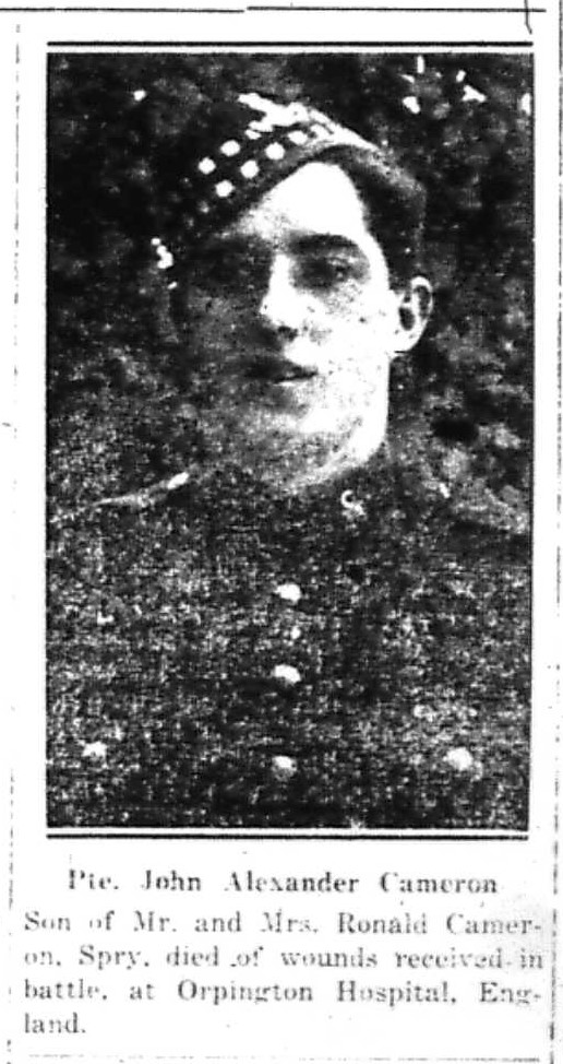 Canadian Echo Wiarton, November 20, 1918